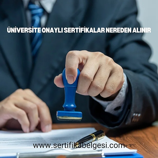 Üniversite Onaylı Sertifikalar Nereden Alınır