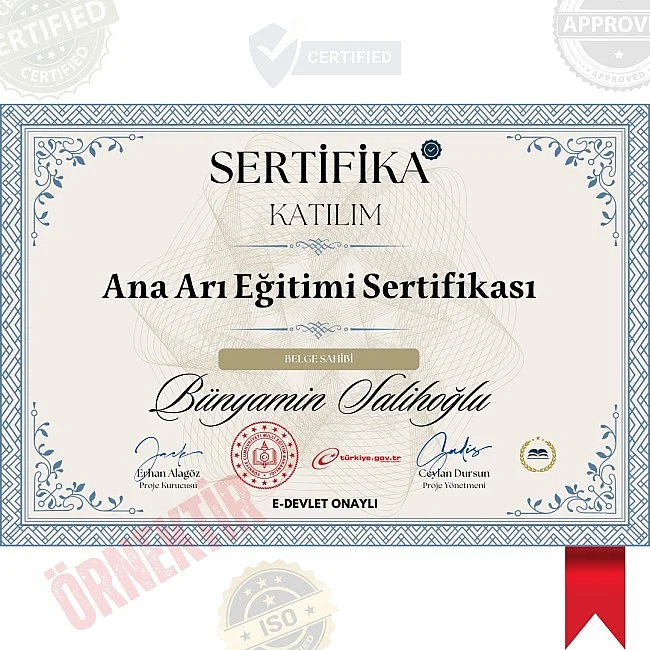 Ana Arı Eğitimi Sertifika / 120 Saat Ana Arı Eğitimi Sertifika / 120 Saat