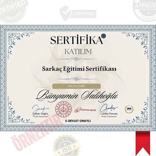 Sarkaç Eğitimi Sertifika / 120 Saat Sarkaç Eğitimi Sertifika / 120 Saat