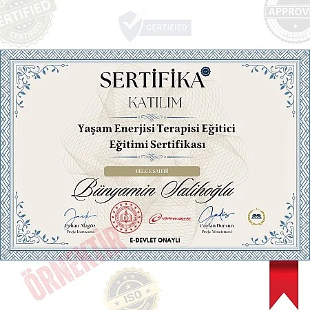 Yaşam Enerjisi Terapisi Eğitici Eğitimi Sertifika / 120 Saat