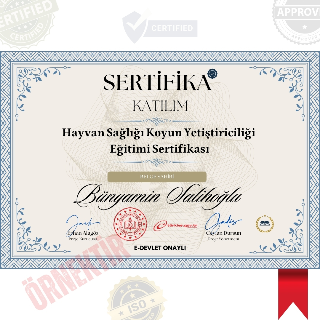 Hayvan Sağlığı Koyun Yetiştiriciliği Eğitimi Sertifika / 120 Saat Hayvan Sağlığı Koyun Yetiştiriciliği Eğitimi Sertifika / 120 Saat